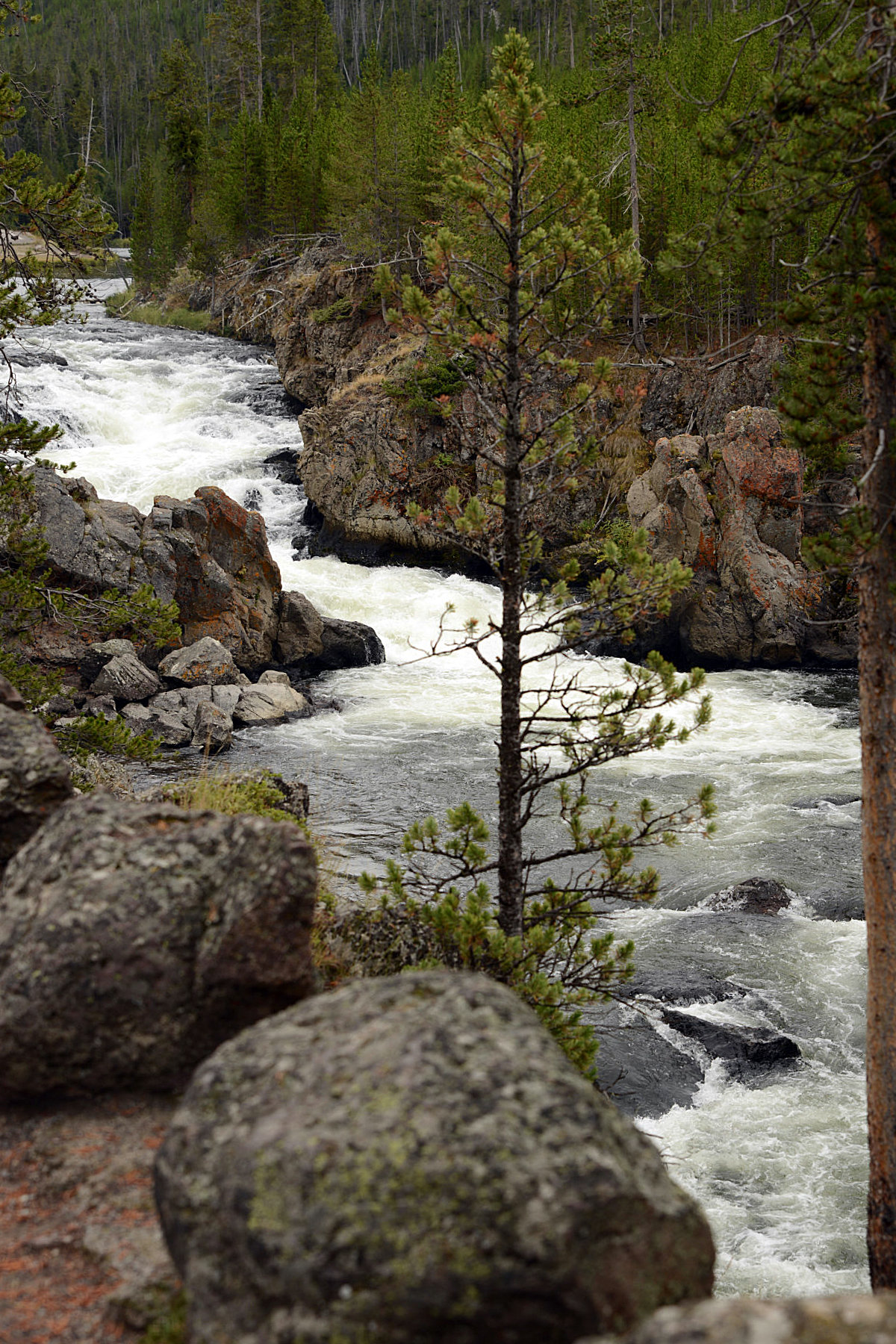 25  Gibbon River at Yellowstone National Park